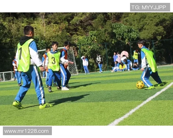 追逐梦想的绿茵岁月足球明星的青春故事与成长历程