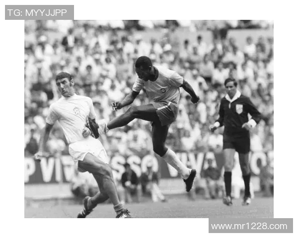 卡塔尔街头足球明星盘点他们的传奇故事与精彩瞬间 卡塔尔街头足球明星盘点他们的传奇故事与精彩瞬间