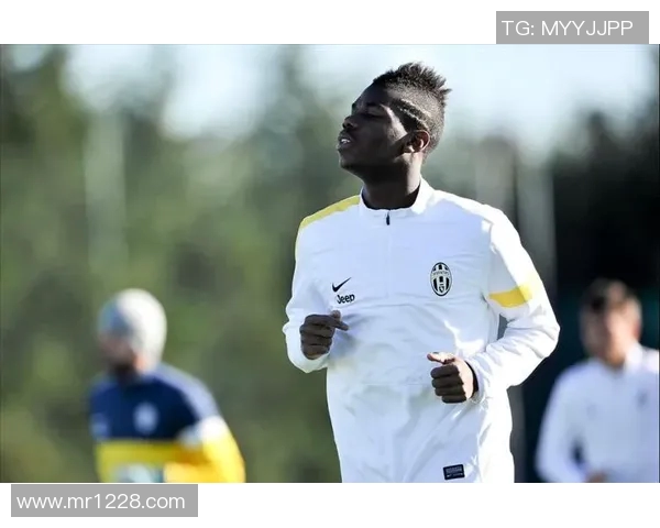 足球明星博格巴的传奇之路与挂画艺术的完美结合 足球明星博格巴的传奇之路与挂画艺术的完美结合