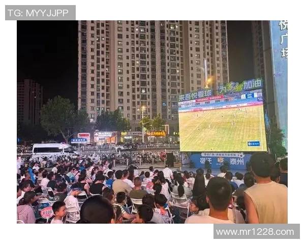 实况足球欧洲杯比赛日激情四溢球迷齐聚共庆足球盛宴